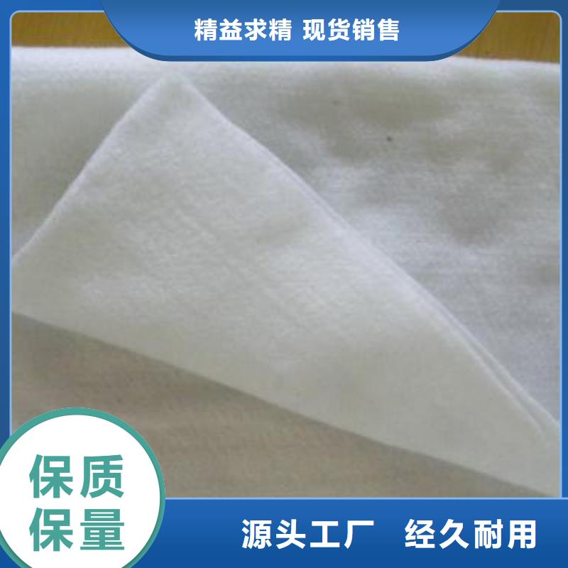 土工布聚乙烯土工膜专注生产N年