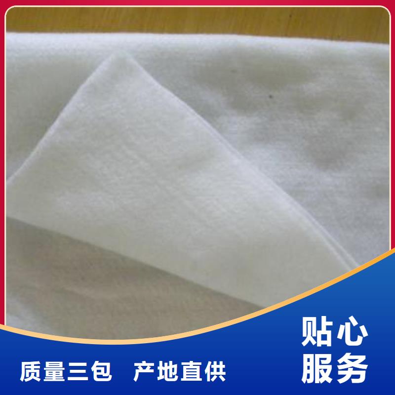 土工布-玻纤土工格栅专业生产团队