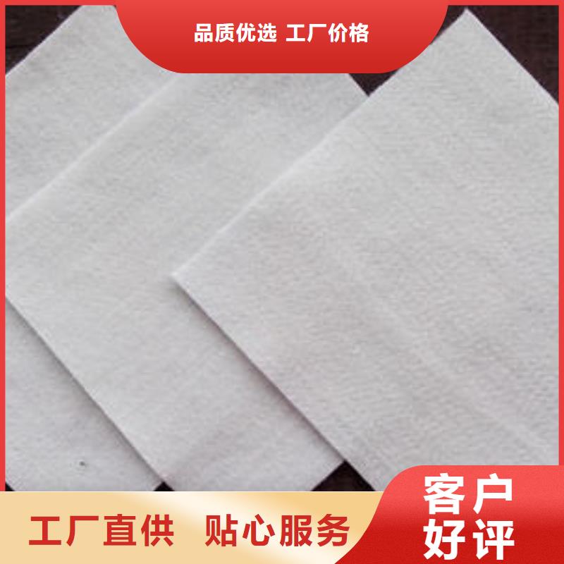 土工布单向塑料土工格栅研发生产销售