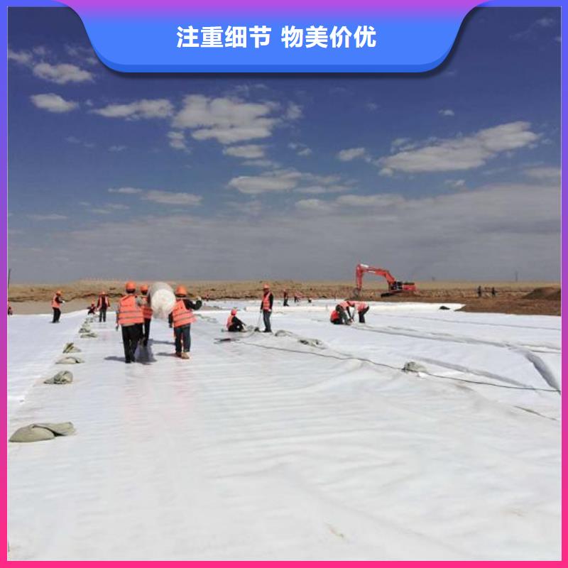 土工布【蜂巢格室】实体诚信厂家 恒丰塑业(玉林市分公司)