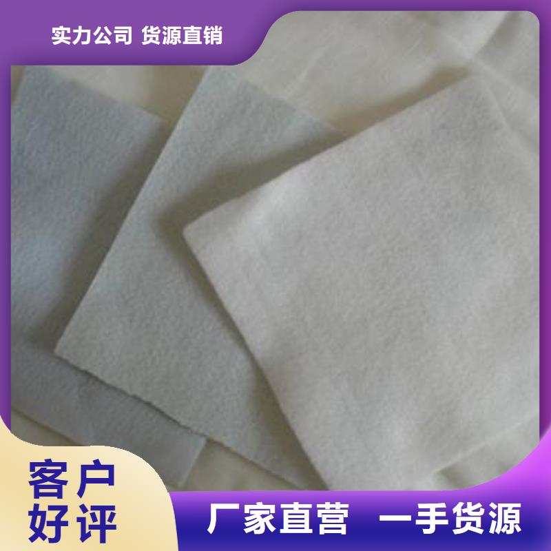 土工布【蜂巢格室】实体诚信厂家 恒丰塑业(玉林市分公司)