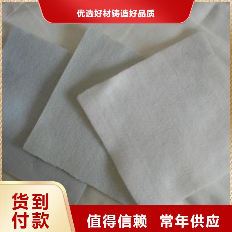 土工布单向塑料土工格栅研发生产销售