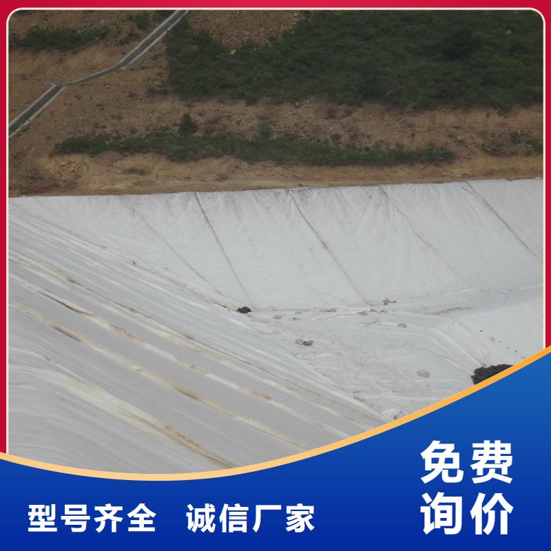 【恒丰】产地工厂【土工布】,蜂巢格室销售的是诚信-二八商务
