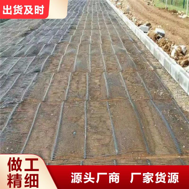 单向塑料土工格栅土工席垫源厂定制