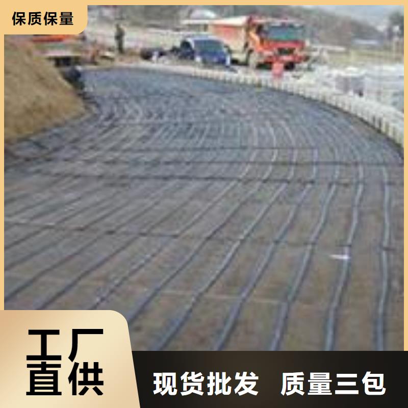【单向塑料土工格栅防尘布高性价比】