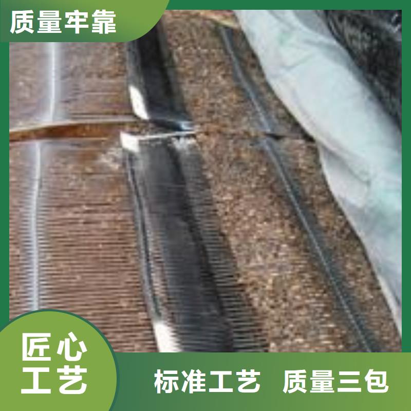单向塑料土工格栅三维植被网助您降低采购成本