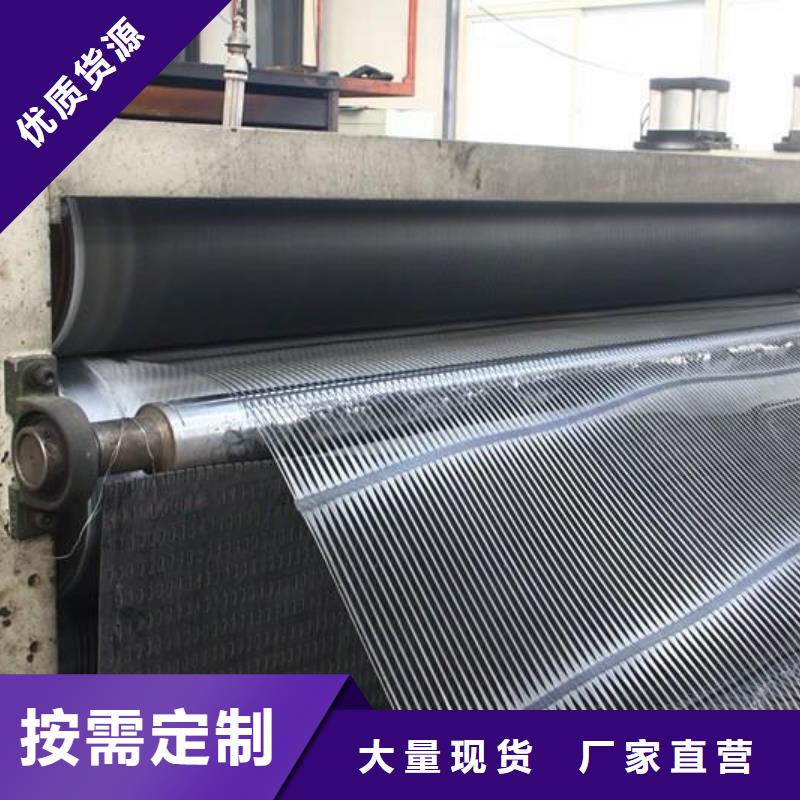 单向塑料土工格栅三维植被网助您降低采购成本