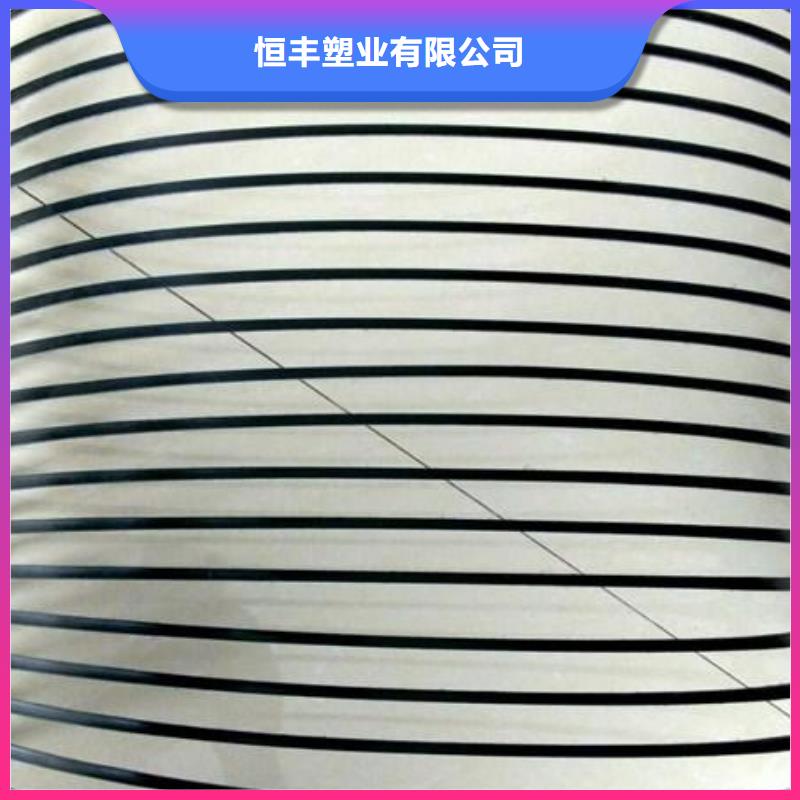【单向塑料土工格栅】-三维植被网厂家直销心钱-恒丰塑业(淮安市分公司)