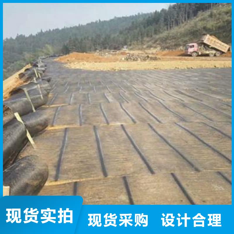 【单向塑料土工格栅防尘布高性价比】