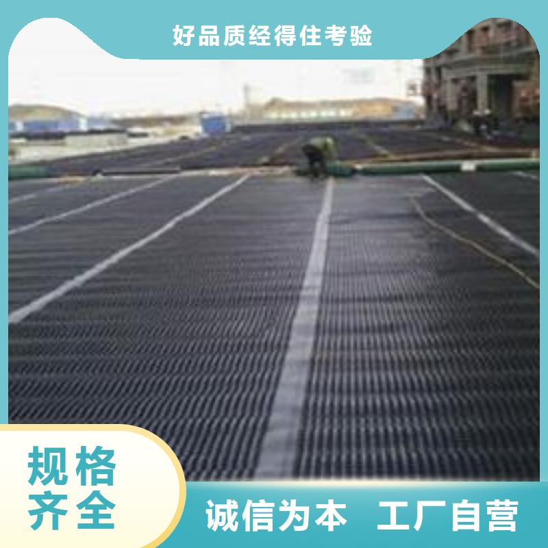 双向塑料土工格栅长丝土工布精选厂家好货