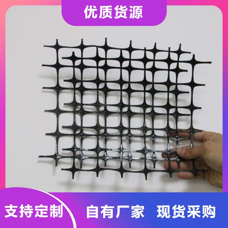 双向塑料土工格栅-【复合土工膜】厂诚信经营产品细节