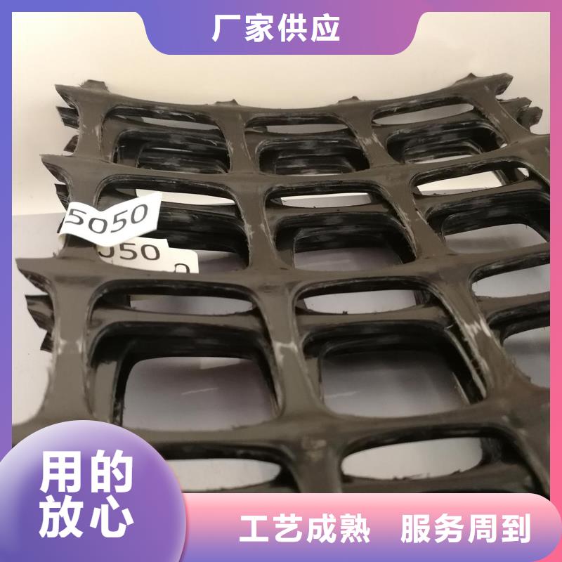 双向塑料土工格栅-【复合土工膜】厂诚信经营产品细节
