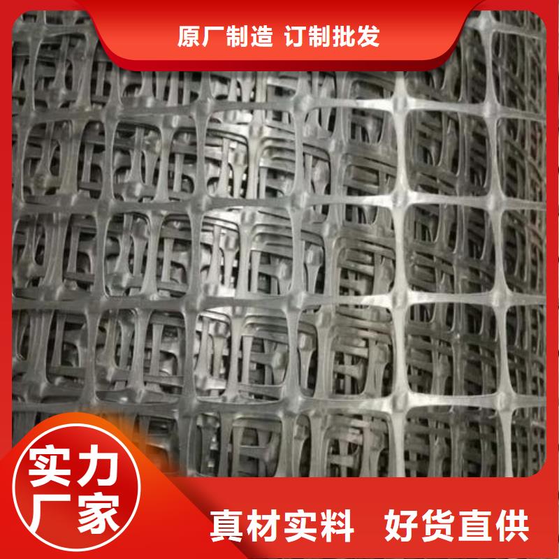 【双向塑料土工格栅,土工席垫批发供应】