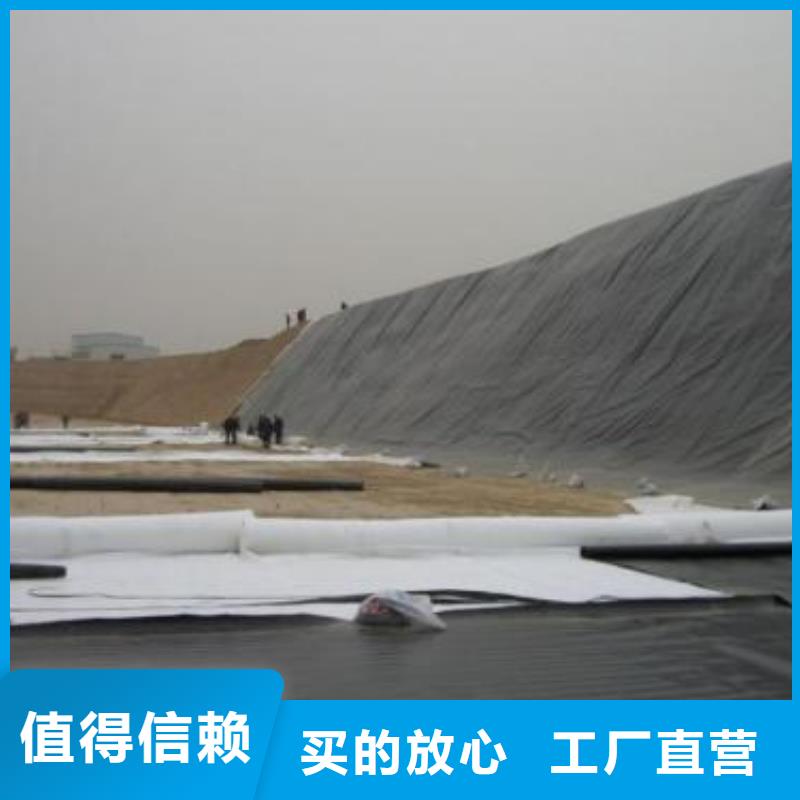 土工膜TPO防水卷材现货齐全售后无忧