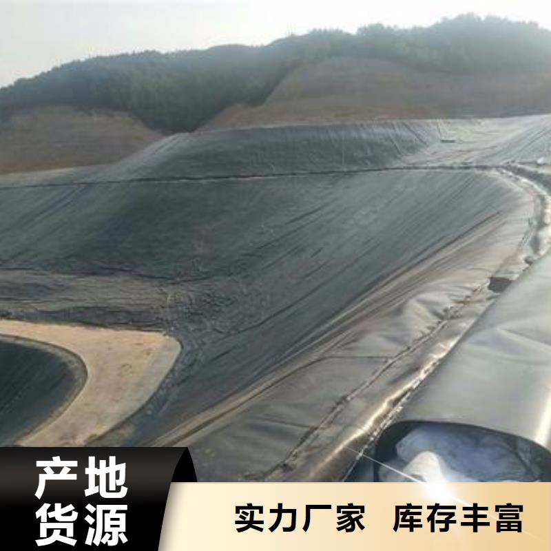 土工膜HDPE土工膜讲信誉保质量