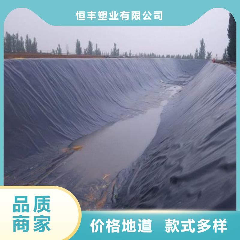 土工膜HDPE土工膜讲信誉保质量