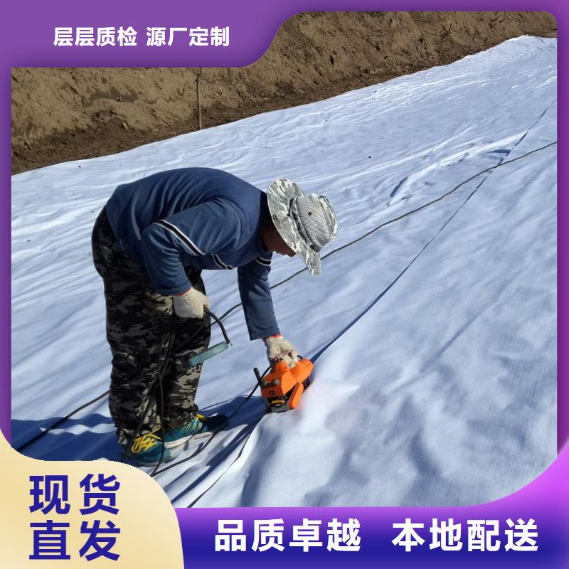 复合土工膜_三维复合排水网甄选好厂家