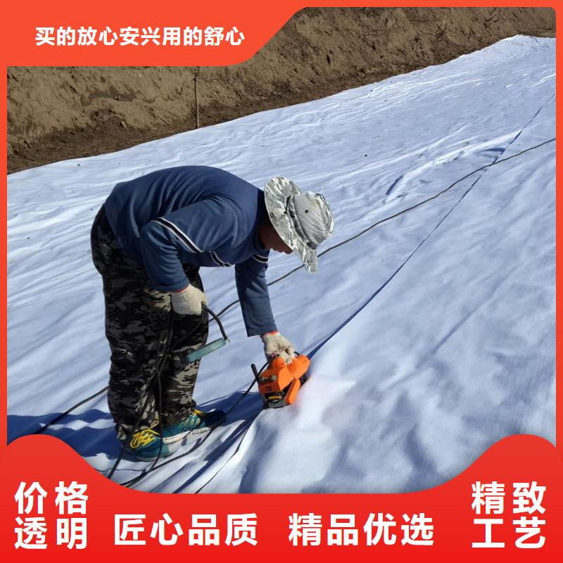 复合土工膜_【土工格室】原料层层筛选-恒丰塑业(湛江市分公司)
