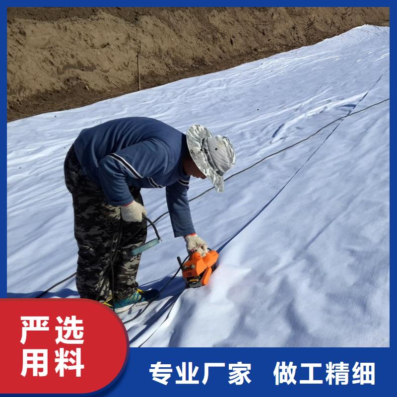 复合土工膜防渗土工膜价格实惠工厂直供
