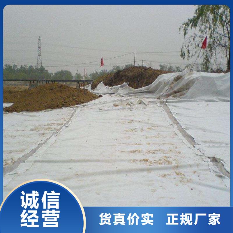 复合土工膜_【土工格室】原料层层筛选-恒丰塑业(湛江市分公司)