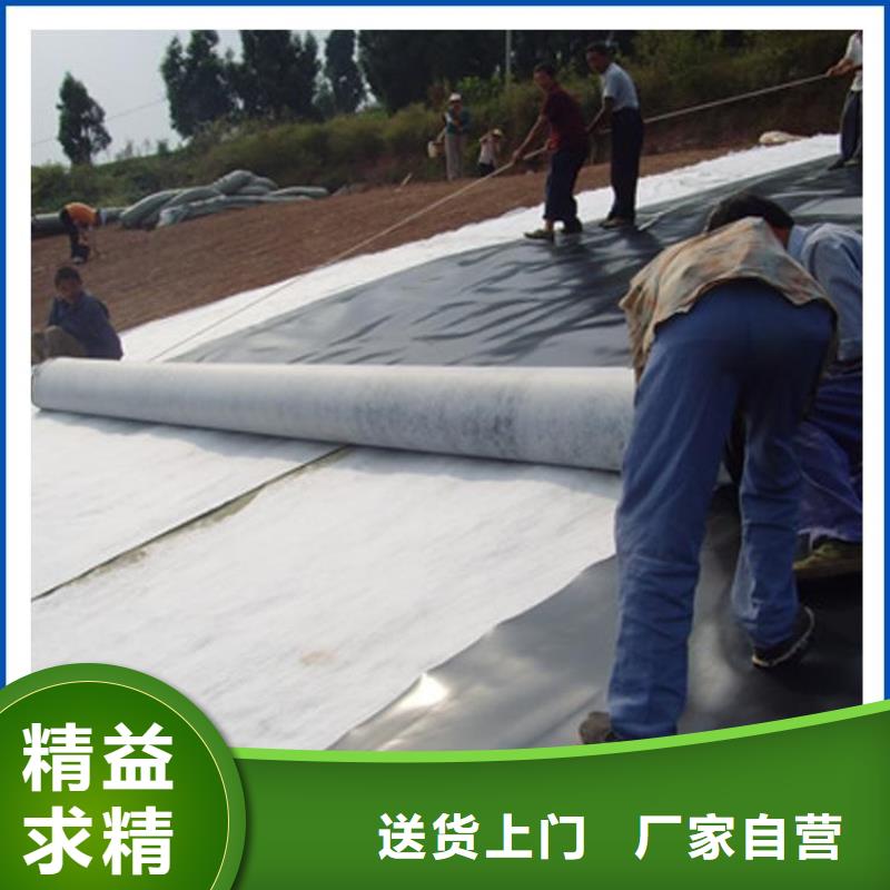 复合土工膜_【土工格室】口碑好实力强同城品牌