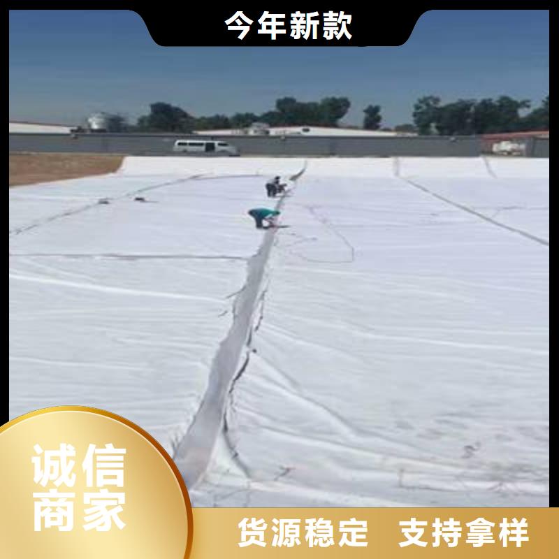 复合土工膜防渗土工膜价格实惠工厂直供
