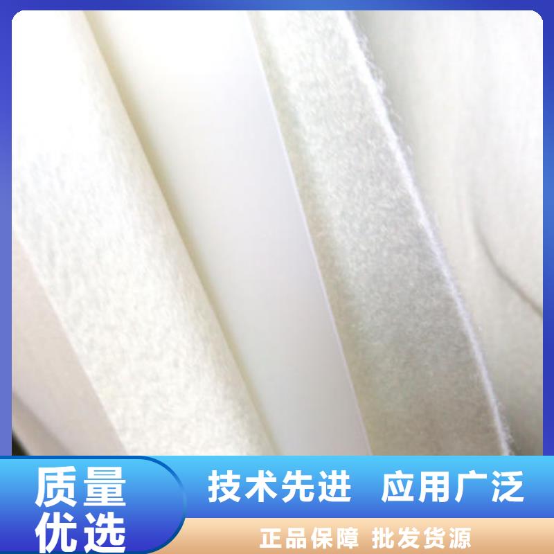 复合土工膜防渗土工膜价格实惠工厂直供