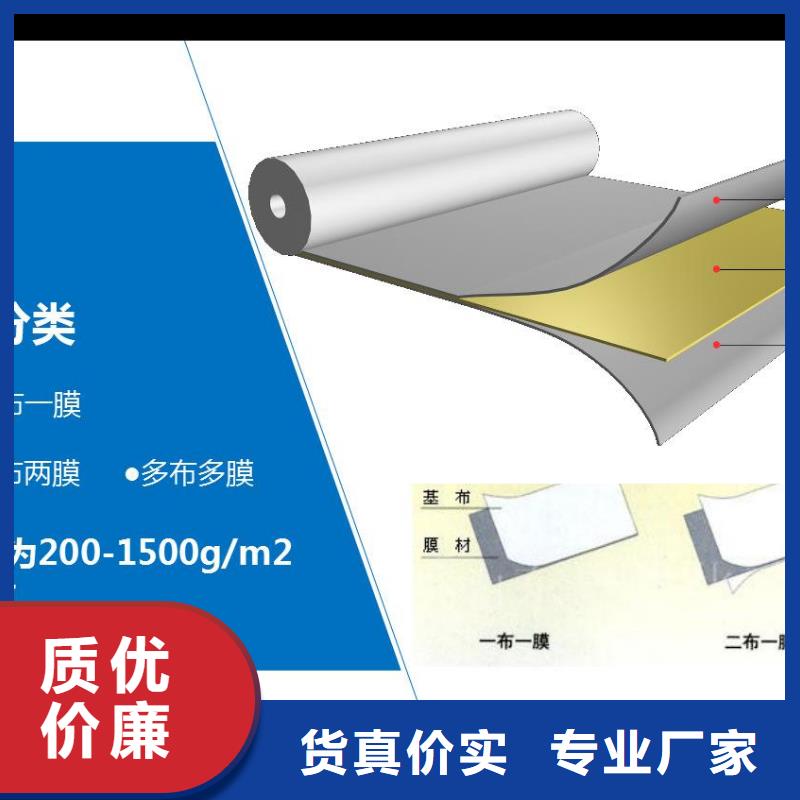 复合土工膜_【土工格室】口碑好实力强同城品牌