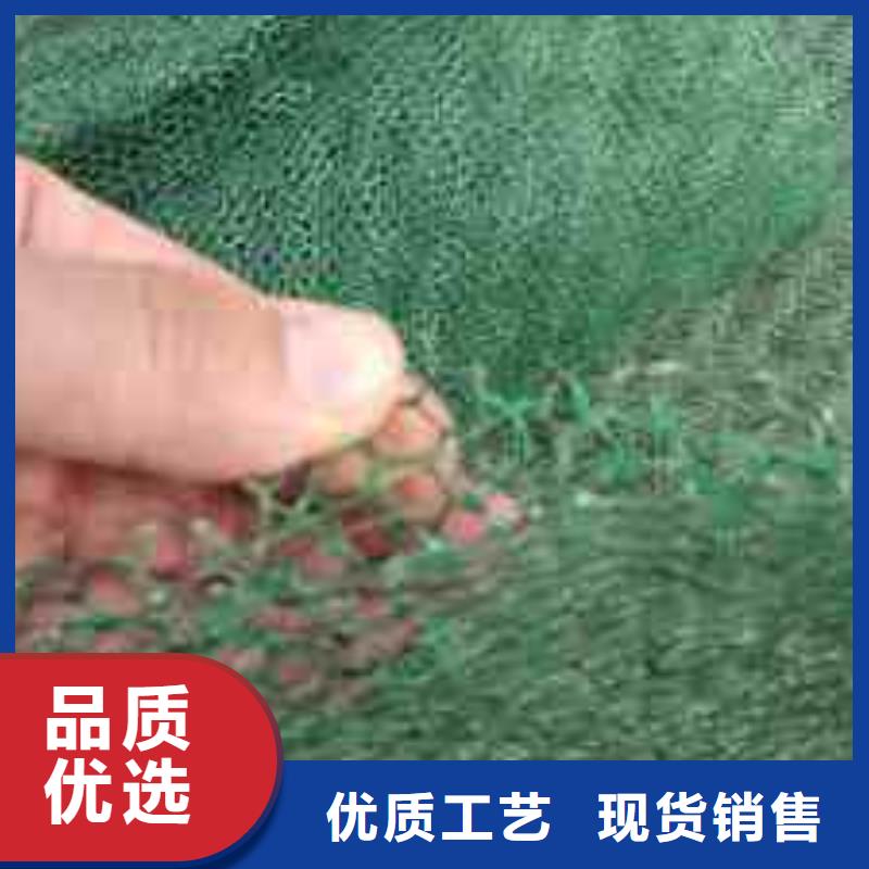 三维植被网蜂巢格室做工精细