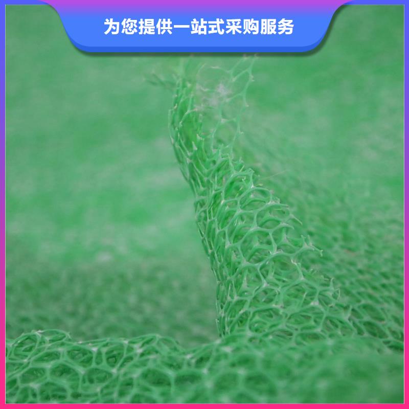 三维植被网-PP焊接土工格栅用好材做好产品