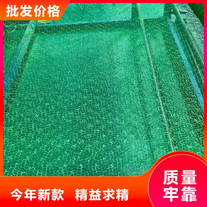 【三维植被网】软式透水管用心服务-恒丰塑业(宜宾市分公司)-二八商务