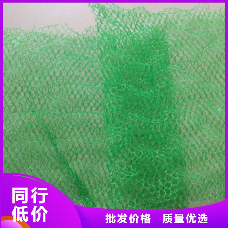 三维植被网,PVC防水卷材值得信赖
