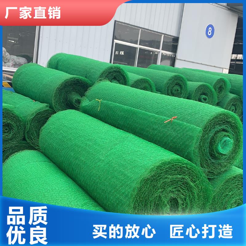 三维植被网,防尘布工程施工案例