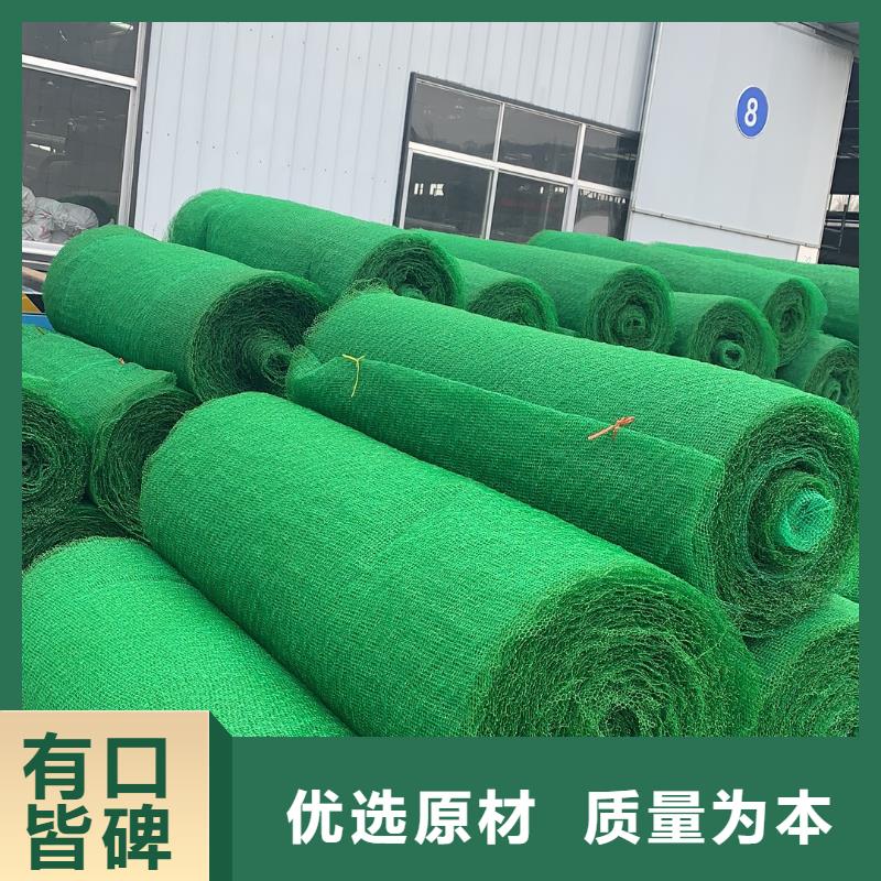 三维植被网双向拉伸塑料格栅厂家货源稳定