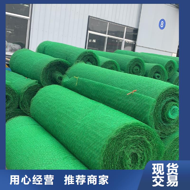 三维植被网蜂巢格室做工精细