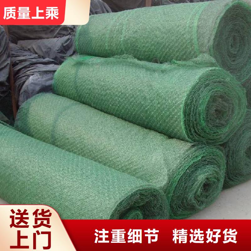 三维植被网蜂巢格室做工精细