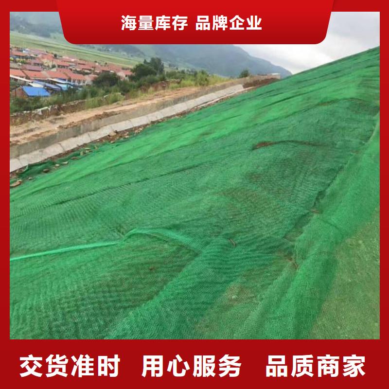 三维植被网三维土工网垫品类齐全