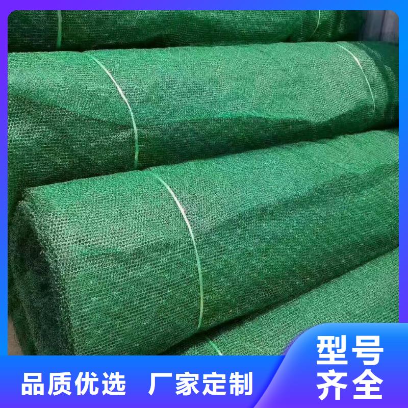 三维植被网,防尘布工程施工案例