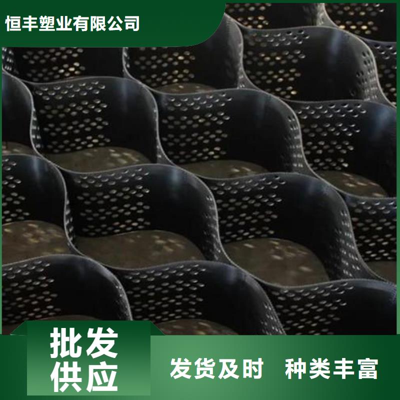 高品质现货销售【土工格室】,复合土工膜专业生产N年_同城报价