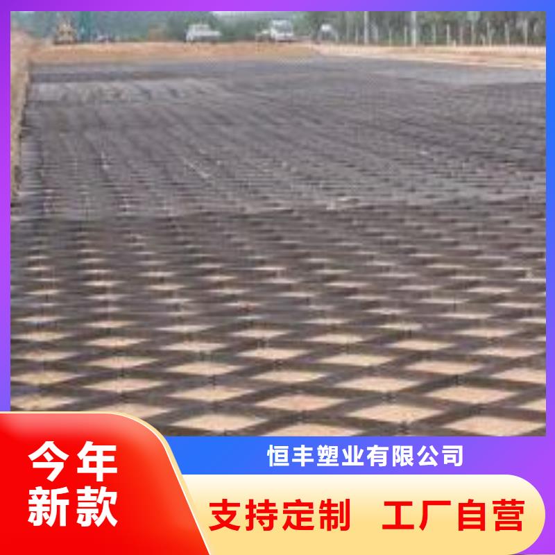 土工格室_双向塑料土工格栅大厂家实力看得见
