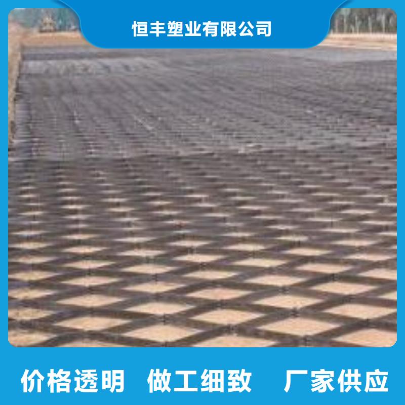 【 土工格室_HDPE土工膜价格实惠】恒丰土工格室