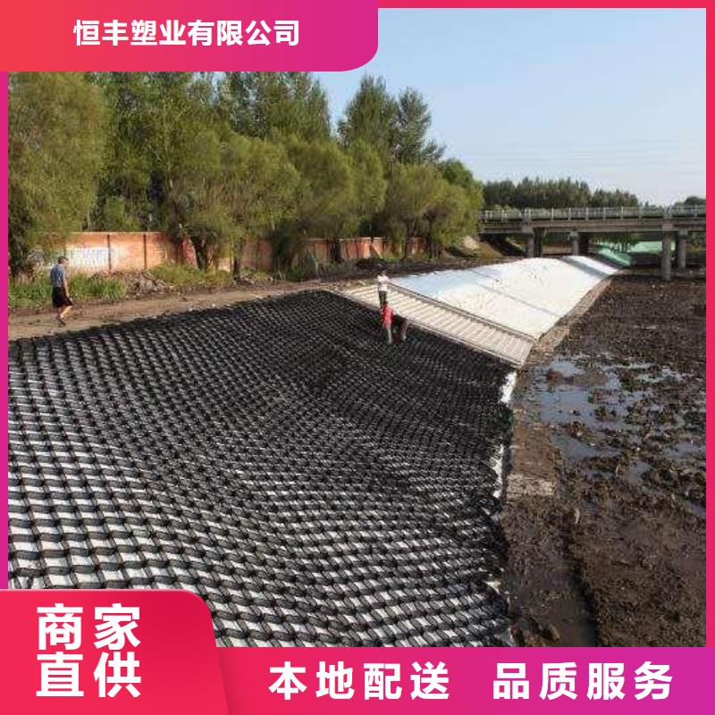 【 土工格室_HDPE土工膜价格实惠】恒丰土工格室