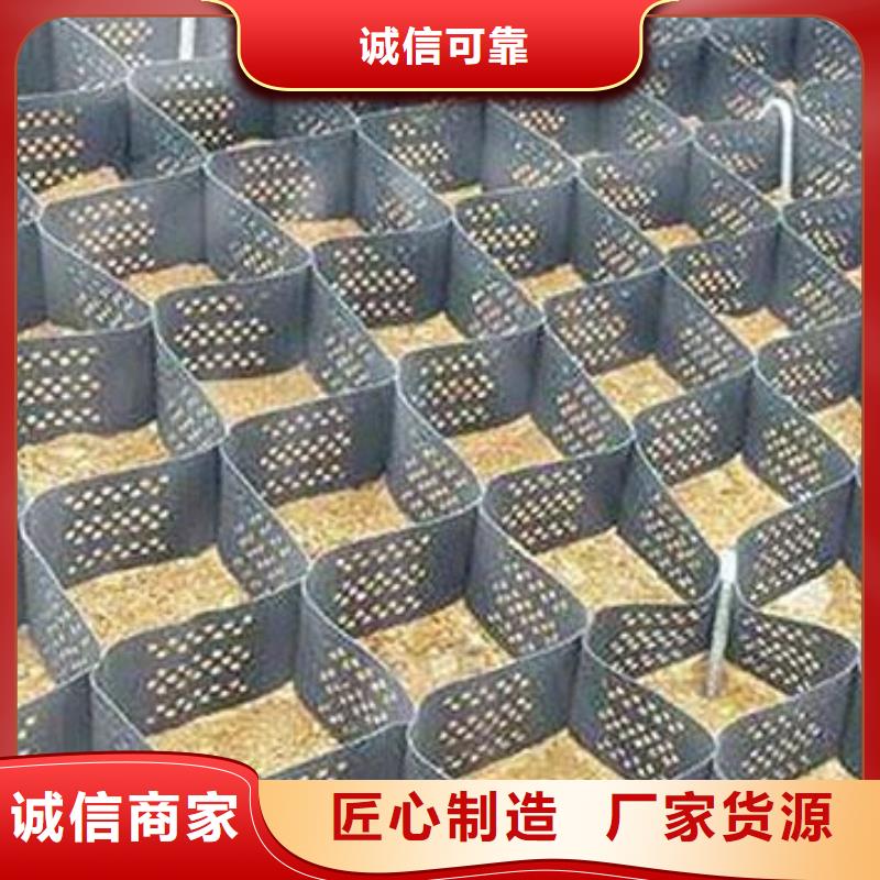 【 土工格室_HDPE土工膜价格实惠】恒丰土工格室