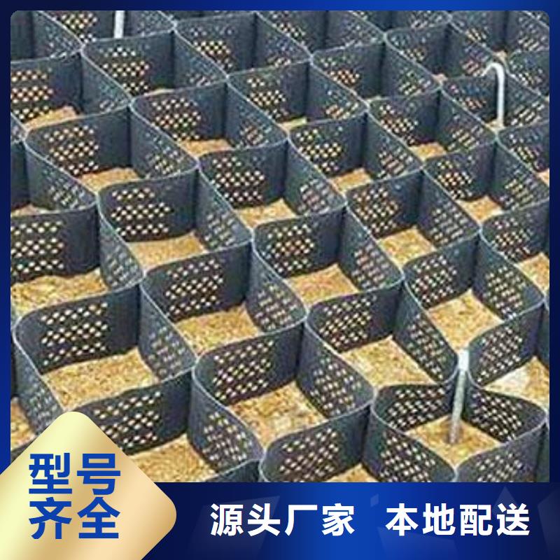 土工格室_双向塑料土工格栅大厂家实力看得见