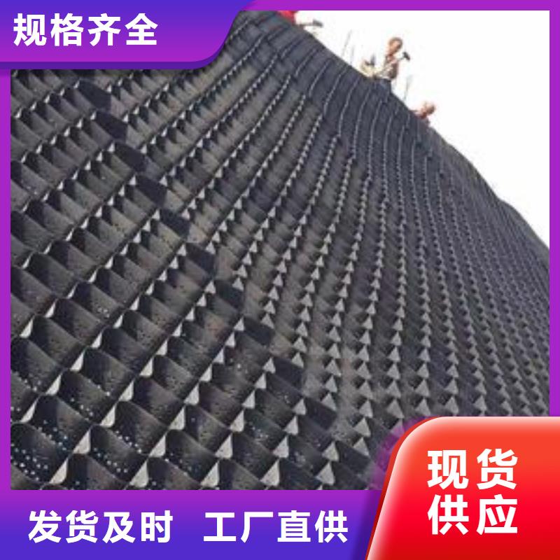 庆安|青冈|齐齐哈尔|大兴安岭|佳木斯|黑河|鹤岗【土工格室】 毛细排水板匠心制造-恒丰