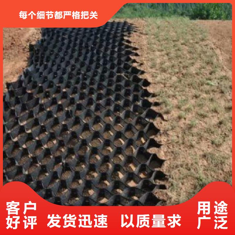 高品质现货销售【土工格室】,复合土工膜专业生产N年_同城报价
