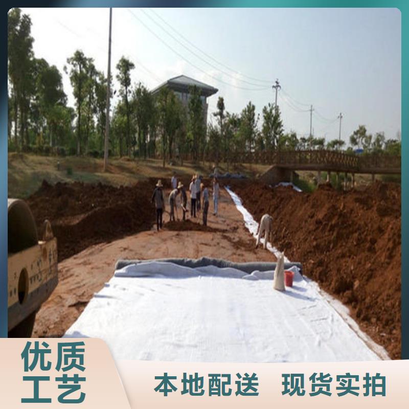 【膨润土防水毯】-双向拉伸塑料格栅实体厂家支持定制同城服务商