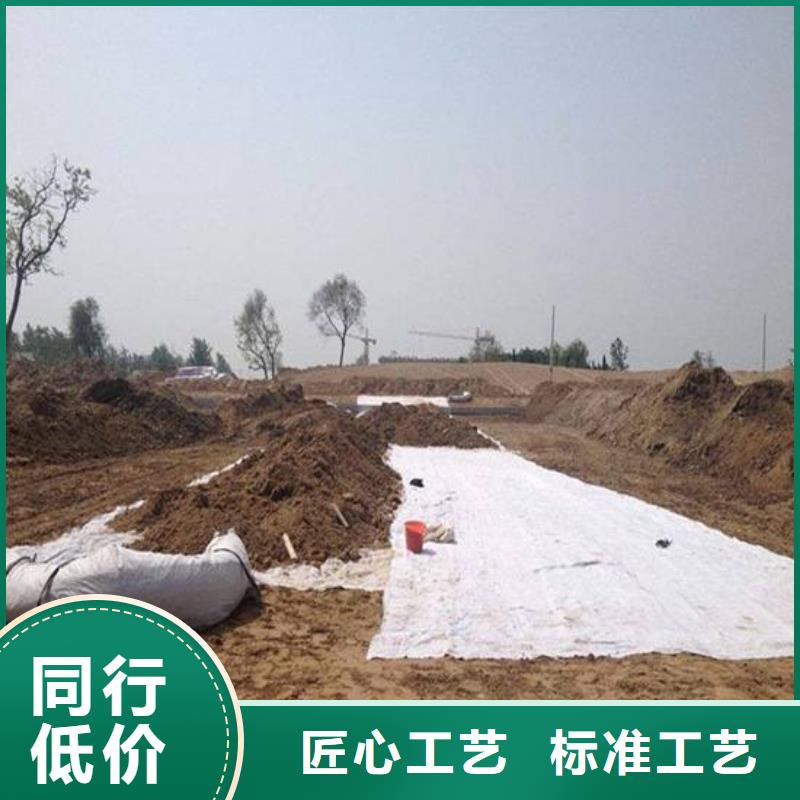【膨润土防水毯】-双向拉伸塑料格栅实体厂家支持定制同城服务商