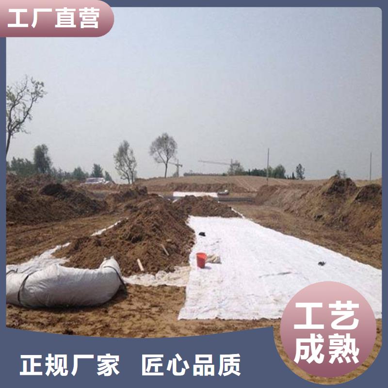 膨润土防水毯土工滤网源头厂家经验丰富