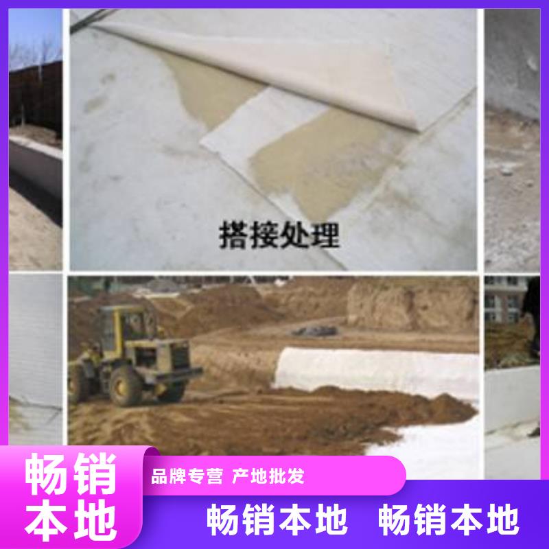膨润土防水毯涤纶土工格栅好货采购
